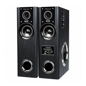 Retro Sound _Ci~bNETEhXs[J[ DS-12(s)yz