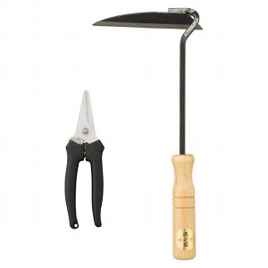 @ ƒ؉Lbg2P HF-25C(s)yz