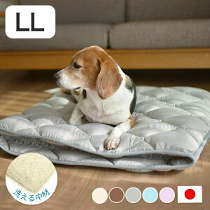 􂦂ybgp~zc GA[AX[g ̍\fގgp LL 125×95cm ybg}bgX ʋC  􂦂 ې   ybg}bg ybg ~zc d d }bg(