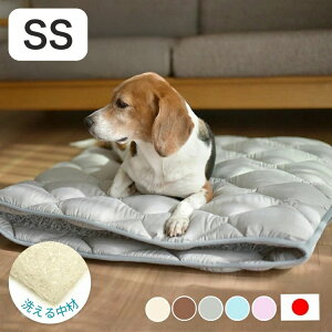 􂦂ybgp~zc GA[AX[g ̍\fގgp SS 60×42cm ybg}bgX ʋC  􂦂 ې   ybg}bg ybg ~zc d d }bg(