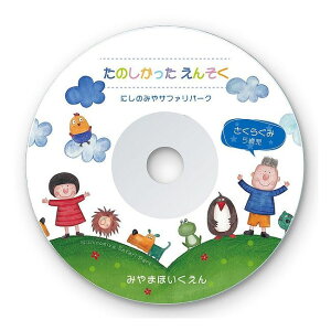 サンワサプライ インクジェットDVD/CDラベル(つやなしマット) LB-CDR001N-100(代引不可)【送料無料】
