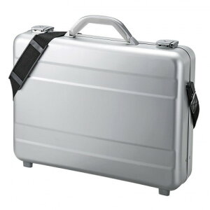 TTvC PCA~P[X BAG-AL4N2(s)yz