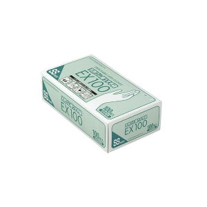 VRSɂ EX100 07618 SS 100}CC