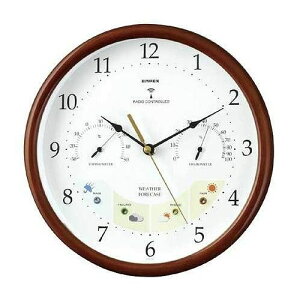 EMPEX (GybNX) |v EFU[p dgv14 BW-873 ؘgyz