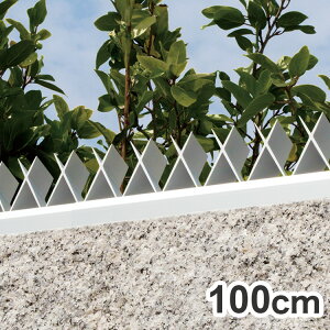 XcA~H A~ EѕԂ Agx G[W[GbNX 1000mm v[Vo[ Vv X^CbV h sRґ΍ N΍yz