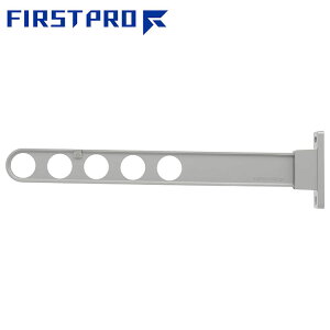 FIRST PRO �f�C���[�X�C���O 650 �V���o�[ DS650-SV�y���������z