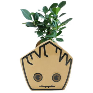 }[x K[fBAYEIuEMNV[ ~jv^[ O[g MARVEL ObY