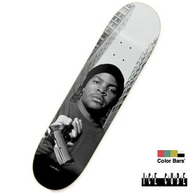 Color Bars × Ice Cube Kill At Will Deck アイス・キューブ スケートボードデッキ カラーバー Skateboard