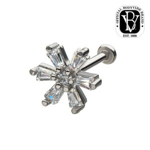 BodyVibe Xm[NX^ ubgsAX NACZ Vo[  {fBoCu ANZT[