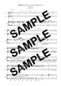 y_E[hyz R΂ŌÂ(Team K II)^SKE48isAme蕈 1j