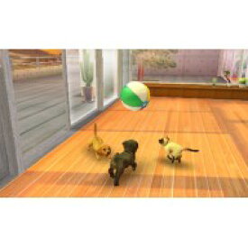 楽天市場 Nintendogs Cats 柴 Newフレンズの通販