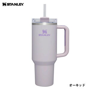 【今だけ最大10%OFFセール】スタンレー STANLEY H2.0 真空スリムクエンチャー 0.88L 10-10827 10-11825 10-10829【メンズ レディース 男女兼用】【ストロー付きフタ付き 真空断熱構造 保冷 水筒 タンブラ