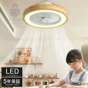 y5Nۏ؁z 2024 V[OCg V[Ot@ V[Ot@Cg ^ 50cm led F k T[L[^[ ȃGl  t@tƖ Ɩ VƖ @ dc