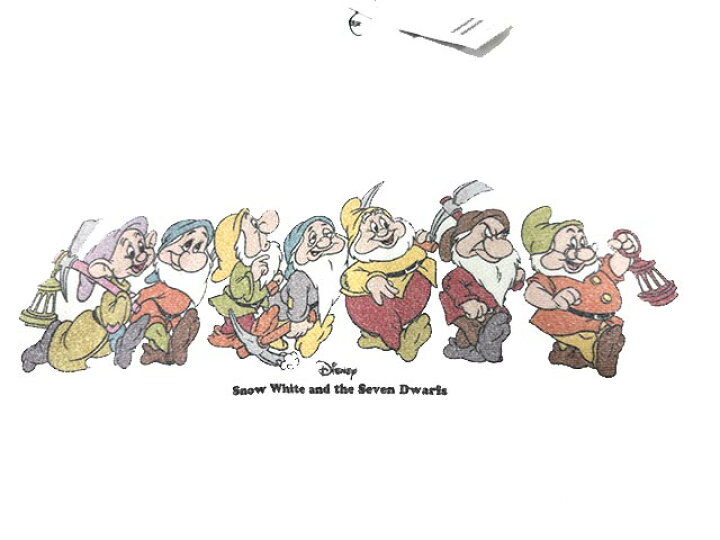 楽天市場】【新古品】【難あり】south for F×BEAMS サウスフォーエフ 