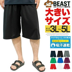 V[gpc Y 傫TCY VjA z hCpc hC bV UVJbg n W[W n[tpc TCY X|[c Zp z   p [