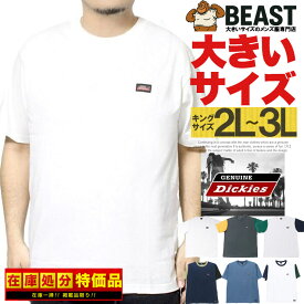 ジェニュイン ディッキーズ(GENUINE Dickies) 半袖 Tシャツ メンズ 大きいサイズ ロゴ 刺繍 ワッペン プリント クルーネック カットソー 半袖Tシャツ 無地Tシャツ クレイジー スケーター ブランド ワークマン プラス