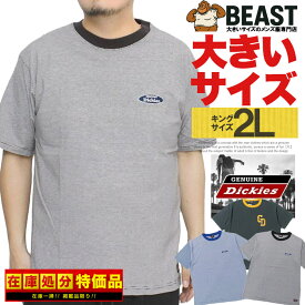 ジェニュイン ディッキーズ(GENUINE Dickies) 半袖 Tシャツ メンズ 大きいサイズ リンガー マイクロボーダー ロゴ プリント カットソー 半袖Tシャツ 無地Tシャツ 白 黒 プリントTシャツ スケーター ブランド ワークマン
