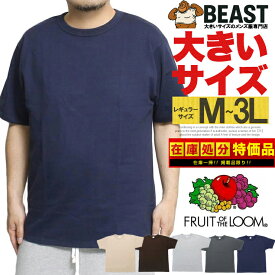 FRUIT OF THE LOOM(フルーツオブザルーム) 半袖 Tシャツ メンズ 大きいサイズ ヘビーウェイト 8オンス 厚手 無地 クルーネック カットソー 半袖Tシャツ 無地Tシャツ ヘビーウエイト 綿 コットン トップス ブランド 白 黒 アメカジ ワークマン プラス