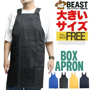 H^ Gv Y fB[X jp Vv n cCf JtFGv H^Gv 傫TCY VjA Ɩp  JtF  | DIY Mtg [NEFA 傫 v[