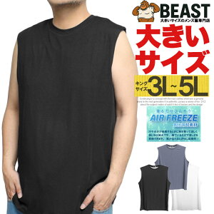 FIRST DOWN(�t�@�[�X�g�_�E��) �m�[�X���[�u T�V���c �����Y �傫���T�C�Y �V�j�A �ڐG�⊴ �C����p �N���[�l�b�N �J�b�g�\�[ �X���[�u���X �g�b�v�X �Ђ��� ������ ���� �^���N�g�b�v �X�g