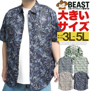 �����V���c �����Y �傫���T�C�Y �V�j�A �z������ �h���C ���C�g���b�v���f�� ���� �v�����g �J�W���A���V���c �{�^�j�J�� �T�}�[ �g�b�v�X ������ ���� ���� ���]�[�g �A���n�V���c �|�P�b