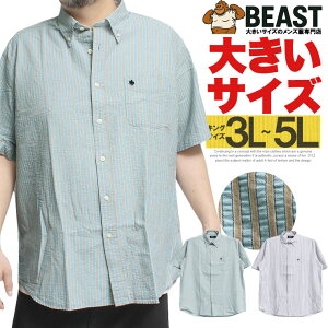 POLO BCS(| r[V[GX) Vc Y 傫TCY VATbJ[f {^_E XgCvVc JWAVc VATbJ[Vc uh {^_EVc Rbg