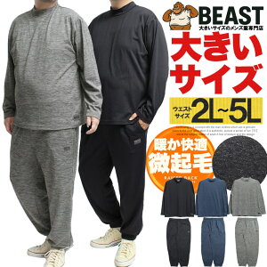 DISCUS(fBXJX) ZbgAbv 傫TCY Y W[W㉺ N WX[X nClbN  TVc C[W[pc W[W [EFA  X|[c h g 