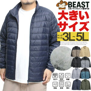 _EWPbg Y 傫TCY y h H  A_E X^h WPbg AEghA WbvAbv u] AE^[ h g  ۉ  [N}