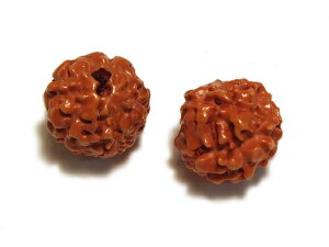 k{_CWr[Y 10mm 2l ANZT[p[c/Ebhr[Y//i`