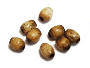 8 y{[r[Y@A-01 ^^5×6 z@uE//VRf/ANZT[/p[c/nhCh/IWi/r[Y/lbNX/uXbh/CfBAANZT[/v[