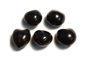 Ebhr[Y NNCibc ubN 5 nCAANZT[/ANZT[p[c/Ebhr[Y//i`