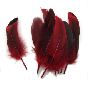 10yVR_bNtFU[@( /bh ) z4cm`8cm@ANZT[p[c/f/H/tFU[/nhCh/IWi//K`E/Aq/_bN/O[X/|/RXv