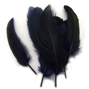 10yVR_bNtFU[@( /u[ ) z4cm`8cm@ANZT[p[c/f/H/tFU[/nhCh/IWi//K`E/Aq/_bN/O[X/|/RXv