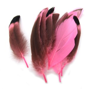 10yVR_bNtFU[@( F/sN ) z4cm`8cm@ANZT[p[c/f/H/tFU[/nhCh/IWi//K`E/Aq/_bN/O[X/|/RXv