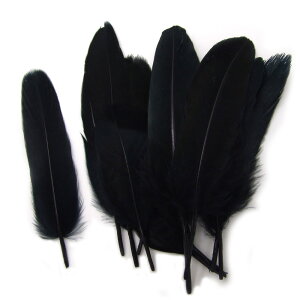 10yVR_bNtFU[@( /ubN ) z4cm`8cm@ANZT[p[c/f/H/tFU[/nhCh/IWi//K`E/Aq/_bN/O[X/|/RXv