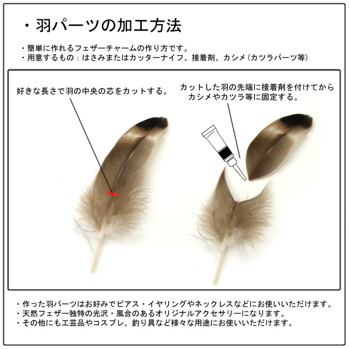 楽天市場 10枚入 天然ダックフェザー 黒 ブラック 約4cm 8cm アクセサリーパーツ 素材 羽 フェザー ハンドメイド オリジナル 制作 ガチョウ アヒル ダック グース 手芸 コスプレ ワールドパーツ レ ベスト 楽天市場 10枚入 天然ダックフェザー 黒 ブラック 約4cm 8cm アクセサリーパーツ 素材 羽 フェザー ハンドメイド オリジナル 制作 ガチョウ アヒル ダック グース 手芸 コスプレ ワールドパーツ レ ベスト