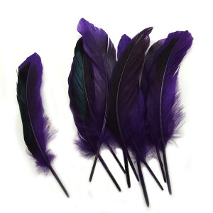 [AEgbg]@10yVR_bNtFU[()@( /p[v ) z10cm`15cm@ANZT[p[c/f/H/tFU[/nhCh/IWi//K`E/Aq/_bN/O[X/