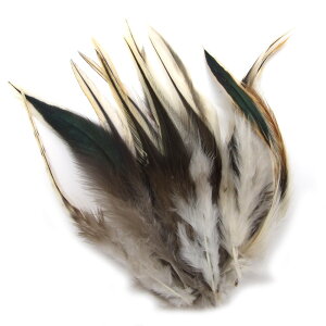 10`12yVRLWtFU[@(A^Cv) z10cm`15cm@ANZT[p[c/f/H/tFU[/nhCh/IWi//LW//Pheasant/|/RXv