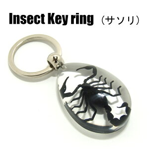 Insect KeyringyT\zSK0901 L[z_[//ANZT[p[c/y_ggbvɂ/Xgbv/COG/L[O/L[`[/W/