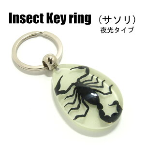 Insect KeyringyT\zSK0901 ^Cv/~/L[z_[//ANZT[p[c/y_ggbvɂ/Xgbv/COG/L[O/L[`[/W/