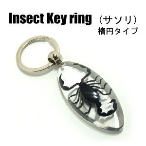 Insect KeyringyT\ ȉ~zSK0901K L[z_[//ANZT[p[c/y_ggbvɂ/Xgbv/COG/L[O/L[`[/W/