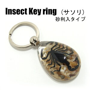 Insect KeyringyT\ zSK0901J L[z_[//ANZT[p[c/y_ggbvɂ/Xgbv/COG/L[O/L[`[/W/
