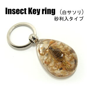 Insect KeyringyT\ zSK0901J L[z_[//ANZT[p[c/y_ggbvɂ/Xgbv/COG/L[O/L[`[/W/