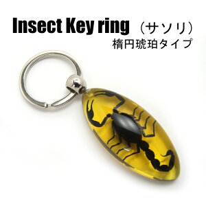 Insect KeyringyT\(ȉ~E߃^Cv)zSK0901L2 L[z_[//ANZT[p[c/y_ggbvɂ/Xgbv/COG/L[O/L[`[/W/
