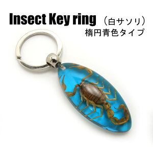 Insect KeyringyT\(ȉ~EF)zSK0901L1 L[z_[//ANZT[p[c/y_ggbvɂ/Xgbv/COG/L[O/L[`[/W/