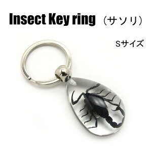 Insect Keyring yT\(STCY)zSD09021 L[z_[//ANZT[p[c/y_ggbvɂ/Xgbv/COG/L[O/L[`[/W/