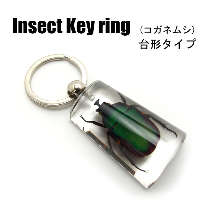 楽天市場】Insect Keyring【コガネムシ 台形】SK0563D キーホルダー 