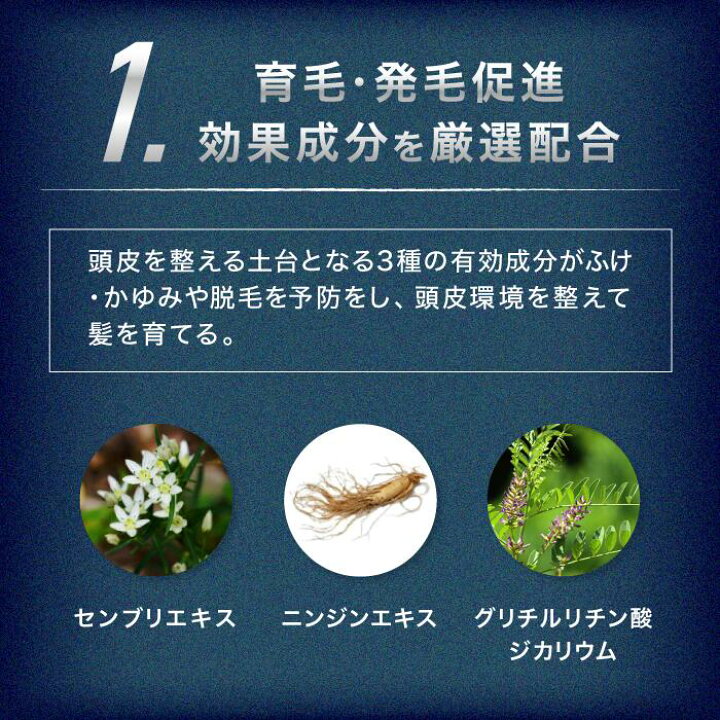 楽天市場】【公式】 REDEN 【薬用育毛剤＋ボリュームアップ  