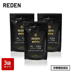 【公式】 REDEN ボリュームアップ サプリメント 3袋 VOLUME UP SUPPLEMENT 栄養機能食品 亜鉛 ナイアシン ノコギリヤシ アナゲイン
