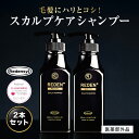 【15％OFF＆P10倍★8/4 20:00〜8/11 1:59】 【公式】 REDEN メディカルスカルプシャンプー 2本〜 リデン 薬用シャンプー 医薬部外品 スカルプケア スカルプシャンプー リデンシル配合 メンズ 男性用 シャンプー 頭皮 洗浄 ケア 汗臭対策 ボリュームアップ 薄毛ケア 抜け毛予